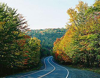 奎爷创造者Charlie Wen担任Epic首席创意官